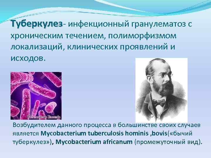 Туберкулез- инфекционный гранулематоз с хроническим течением, полиморфизмом локализаций, клинических проявлений и исходов. Возбудителем данного