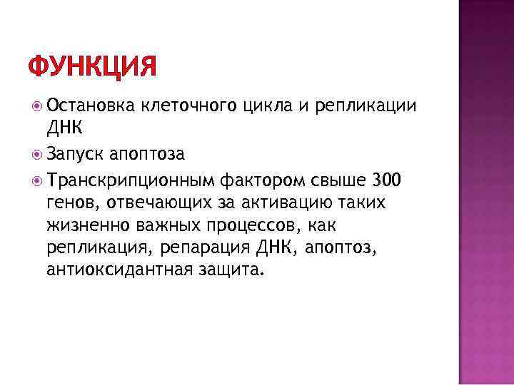 ФУНКЦИЯ Остановка клеточного цикла и репликации ДНК Запуск апоптоза Транскрипционным фактором свыше 300 генов,