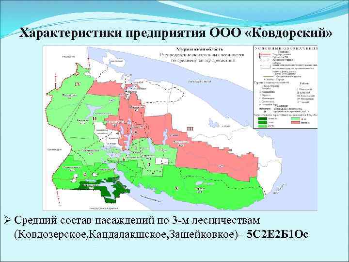 Характеристики предприятия ООО «Ковдорский» Ø Средний состав насаждений по 3 -м лесничествам (Ковдозерское, Кандалакшское,