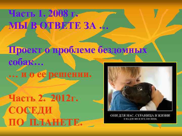 Часть 1. 2008 г. МЫ В ОТВЕТЕ ЗА … Проект о проблеме бездомных собак…