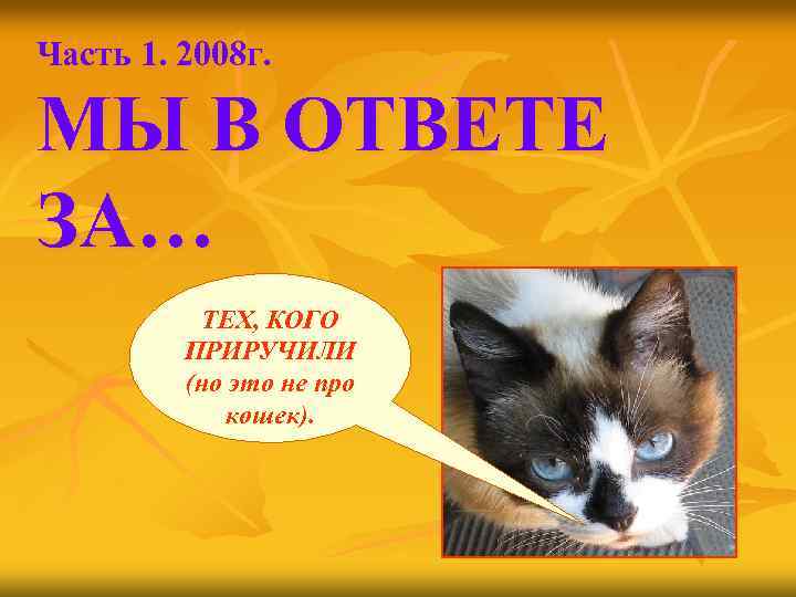 Часть 1. 2008 г. МЫ В ОТВЕТЕ ЗА… ТЕХ, КОГО ПРИРУЧИЛИ (но это не