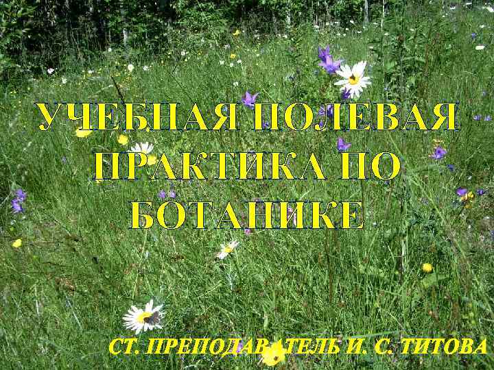 УЧЕБНАЯ ПОЛЕВАЯ ПРАКТИКА ПО БОТАНИКЕ СТ. ПРЕПОДАВАТЕЛЬ И. С. ТИТОВА 