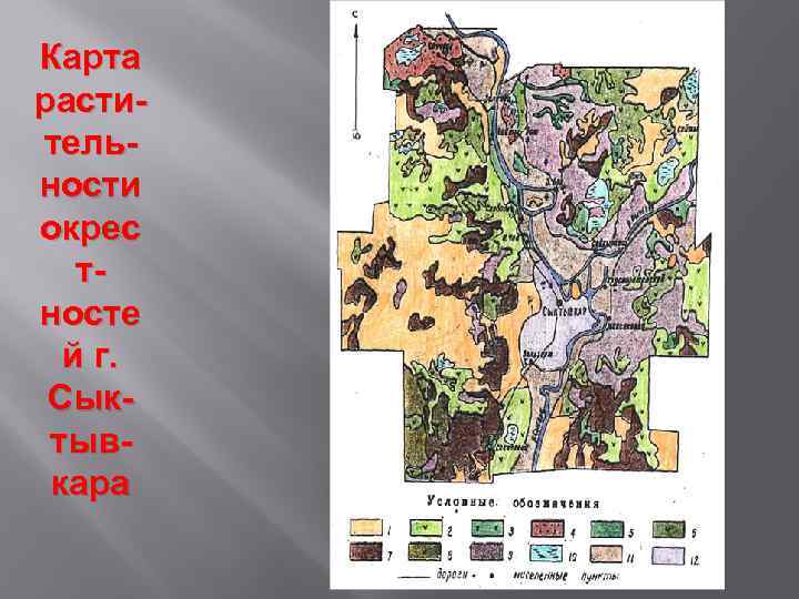 Карта растительности окрес тносте й г. Сыктывкара 