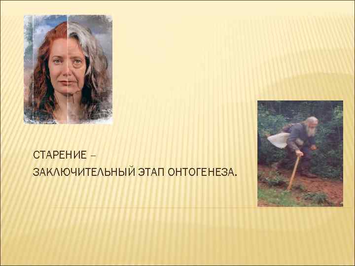 СТАРЕНИЕ – ЗАКЛЮЧИТЕЛЬНЫЙ ЭТАП ОНТОГЕНЕЗА. 