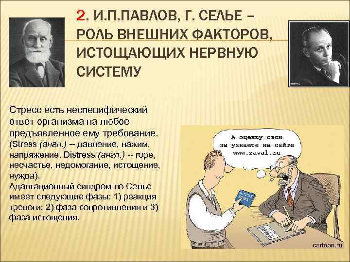 2. И. П. ПАВЛОВ, Г. СЕЛЬЕ – РОЛЬ ВНЕШНИХ ФАКТОРОВ, ИСТОЩАЮЩИХ НЕРВНУЮ СИСТЕМУ Стресс