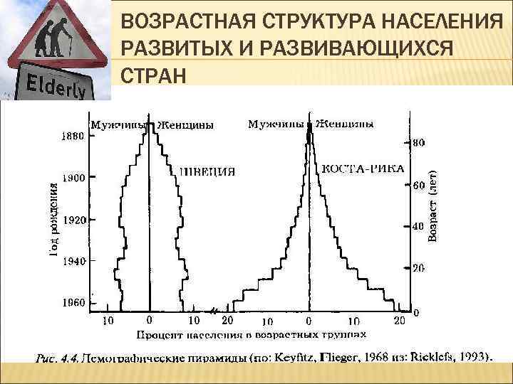 Возрастная структура населения италии