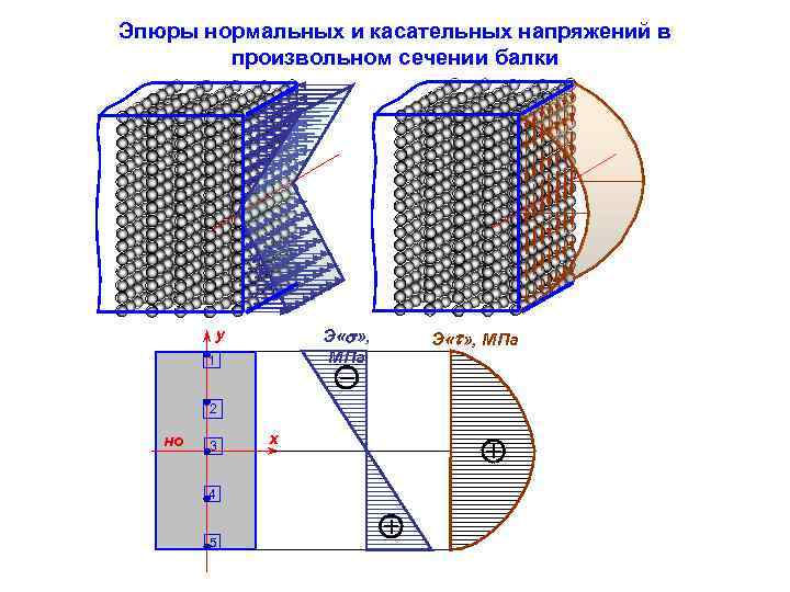 На рисунке представлены поперечные