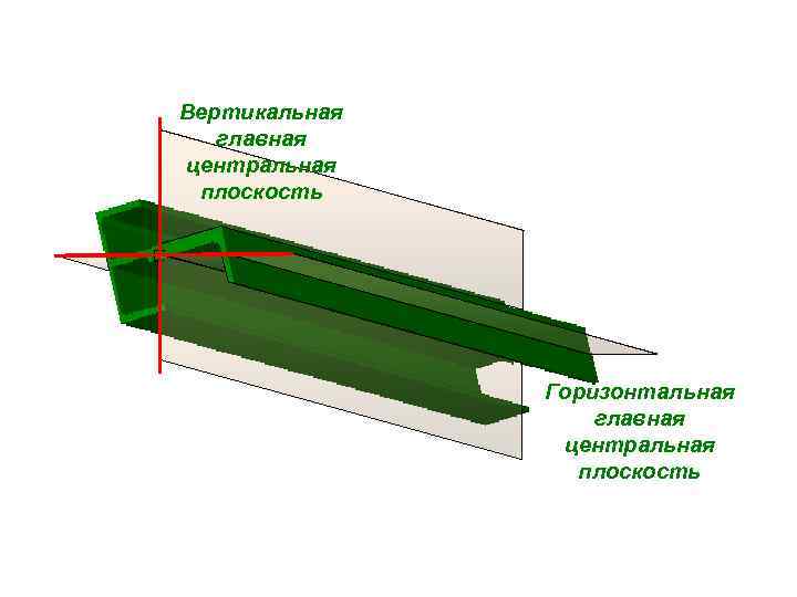 Вертикальная главная центральная плоскость Горизонтальная главная центральная плоскость 