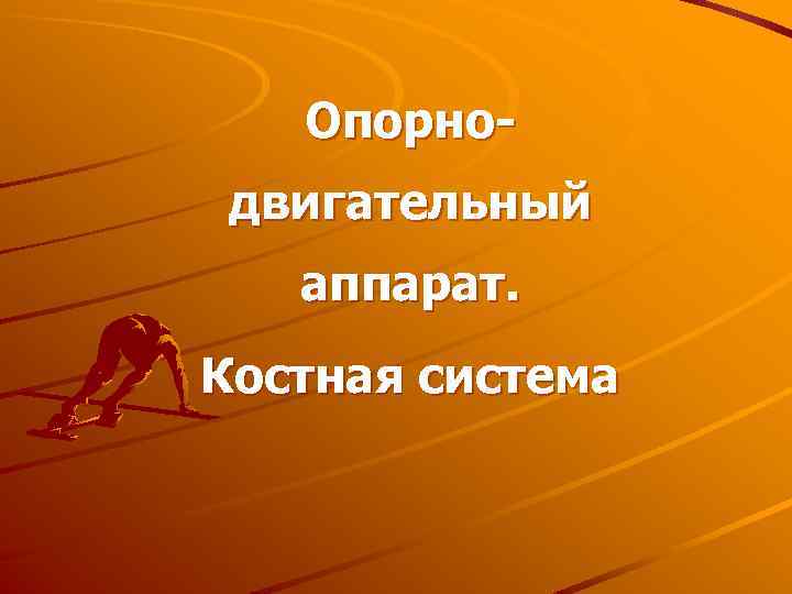 Опорнодвигательный аппарат. Костная система 