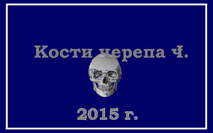 Кости черепа ч. I 2015 г. 