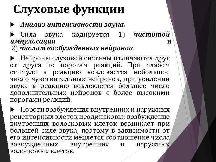 Слуховые функции Анализ интенсивности звука. Сила звука кодируется 1) частотой импульсации и 2) числом