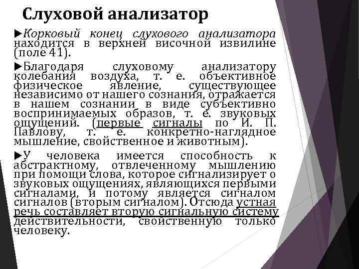 Слуховой анализатор Корковый конец слухового анализатора находится в верхней височной извилине (поле 41). Благодаря