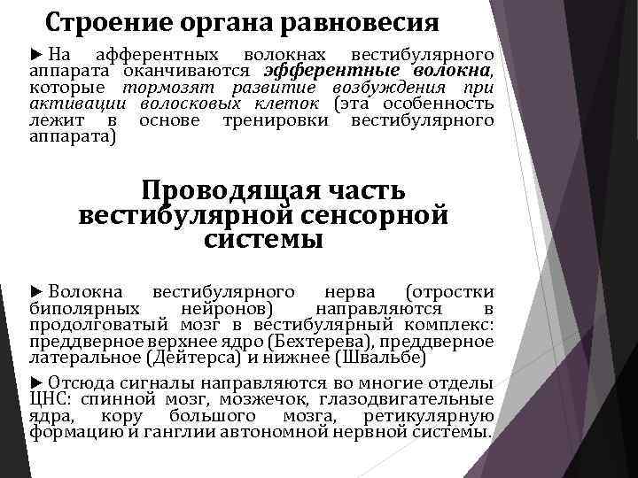 Строение органа равновесия На афферентных волокнах вестибулярного аппарата оканчиваются эфферентные волокна, которые тормозят развитие