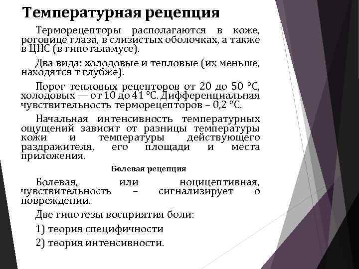 Температурная рецепция Терморецепторы располагаются в коже, роговице глаза, в слизистых оболочках, а также в