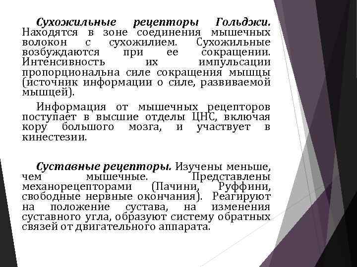 Сухожильные рецепторы Гольджи. Находятся в зоне соединения мышечных волокон с сухожилием. Сухожильные возбуждаются при