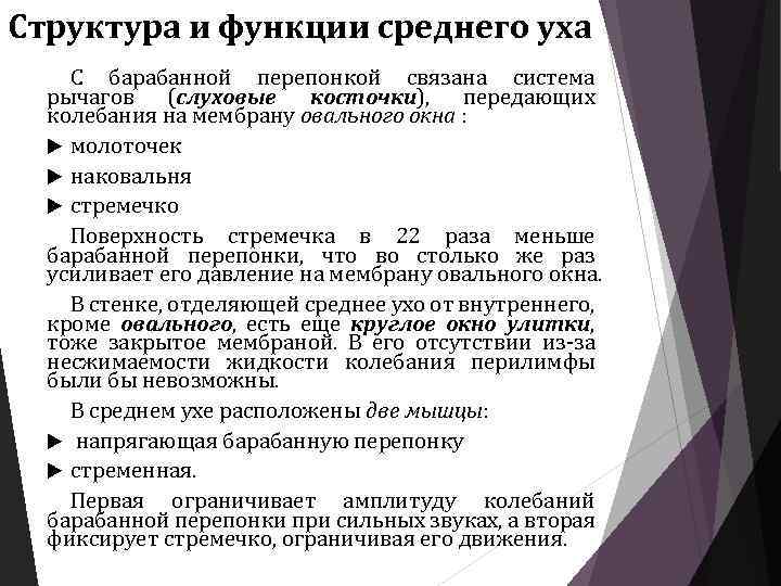 Структура и функции среднего уха С барабанной перепонкой связана система рычагов (слуховые косточки), передающих