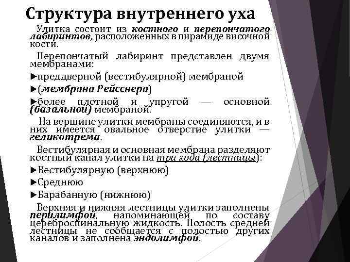 Структура внутреннего уха Улитка состоит из костного и перепончатого лабиринтов, расположенных в пирамиде височной