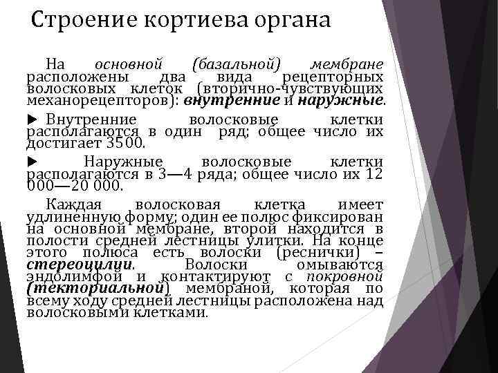 Строение кортиева органа На основной (базальной) мембране расположены два вида рецепторных волосковых клеток (вторично-чувствующих