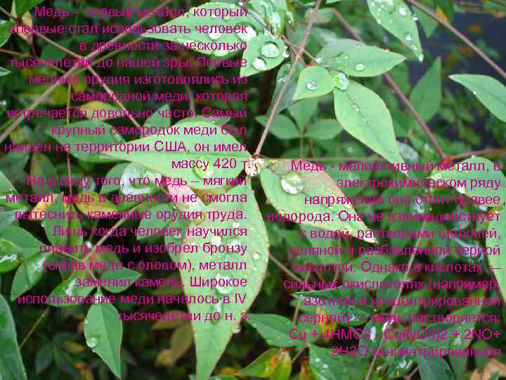 Медь – первый металл, который впервые стал использовать человек в древности за несколько тысячелетий