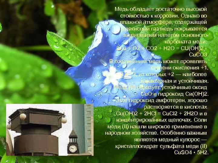 Медь обладает достаточно высокой стойкостью к коррозии. Однако во влажной атмосфере, содержащей углекислый газ