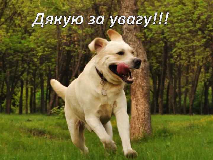 Дякую за увагу!!! увагу 