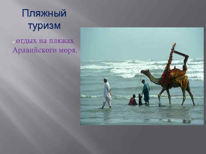 Пляжный туризм отдых на пляжах Аравийского моря. v 