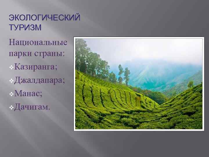 ЭКОЛОГИЧЕСКИЙ ТУРИЗМ Национальные парки страны: v. Казиранга; v. Джалдапара; v. Манас; v. Дачигам. 