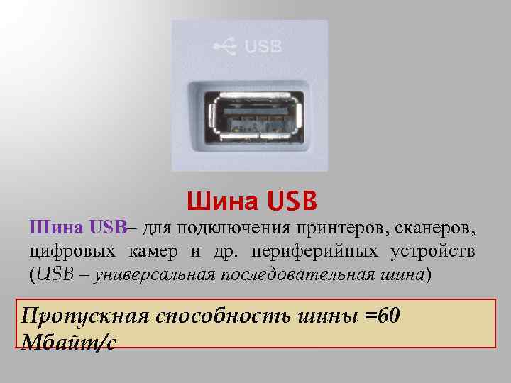 Шина USB– для подключения принтеров, сканеров, цифровых камер и др. периферийных устройств (USB –