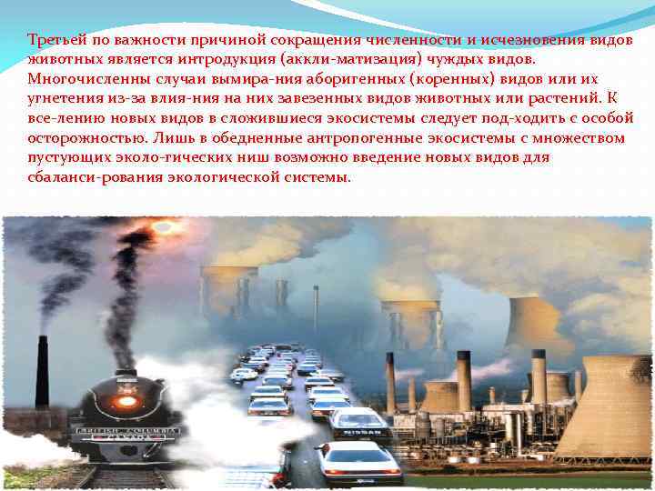 Третьей по важности причиной сокращения численности и исчезновения видов животных является интродукция (аккли матизация)