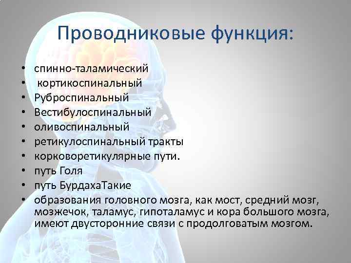 Проводниковые функция: • • • спинно-таламический кортикоспинальный Руброспинальный Вестибулоспинальный оливоспинальный ретикулоспинальный тракты корковоретикулярные пути.