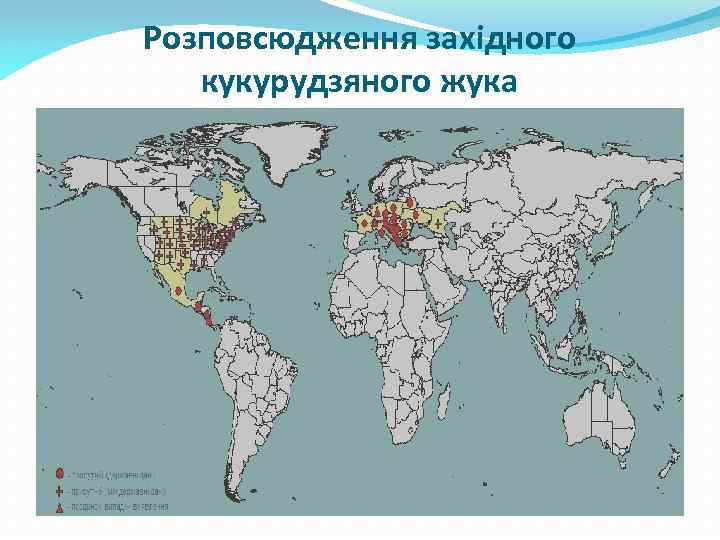 Розповсюдження західного кукурудзяного жука 