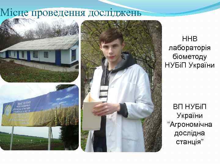 Місце проведення досліджень ННВ лабораторія біометоду НУБіП України ВП НУБіП України “Агрономічна дослідна станція”