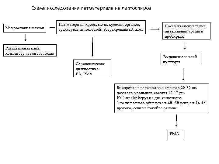 Что такое схема исследования