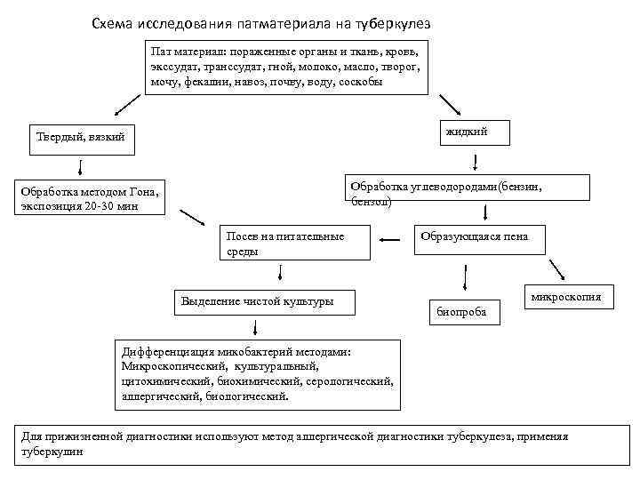 Схема бактериологической диагностики туберкулеза