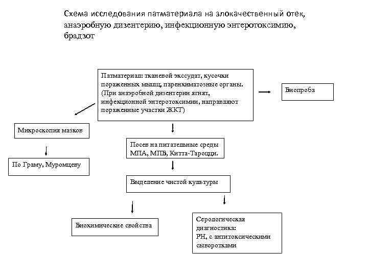 Схема исследования