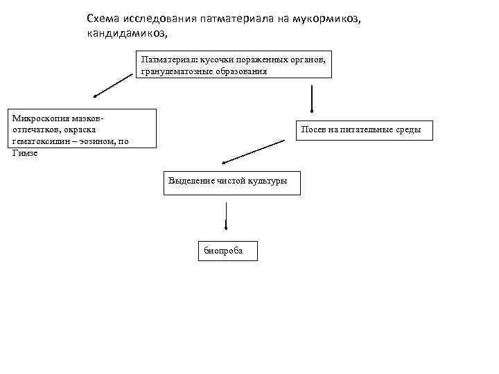 Схема исследования