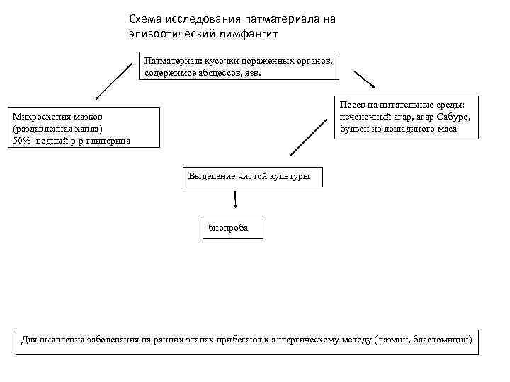 Акт эпизоотического обследования хозяйства образец