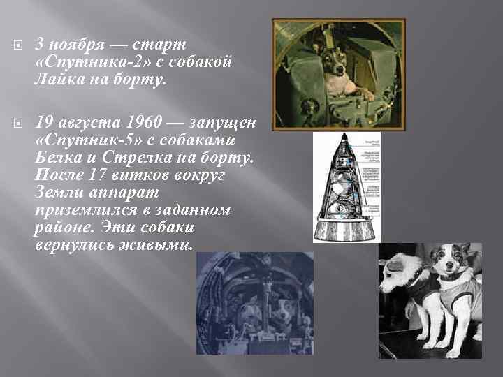  3 ноября — старт «Спутника-2» с собакой Лайка на борту. 19 августа 1960