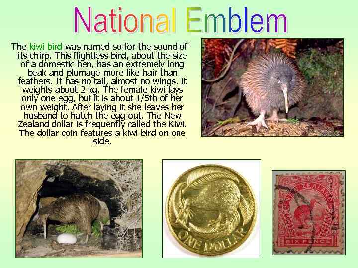 The kiwi bird was named so for the sound of its chirp. This flightless