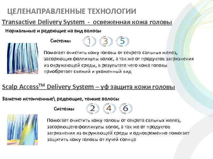 ЦЕЛЕНАПРАВЛЕННЫЕ ТЕХНОЛОГИИ Transactive Delivery System - освеженная кожа головы Нормальные и редеющие на вид