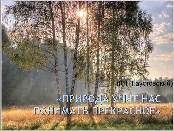 (К. Г. Паустовский) «ПРИРОДА УЧИТ НАС ПОНИМАТЬ ПРЕКРАСНОЕ» 
