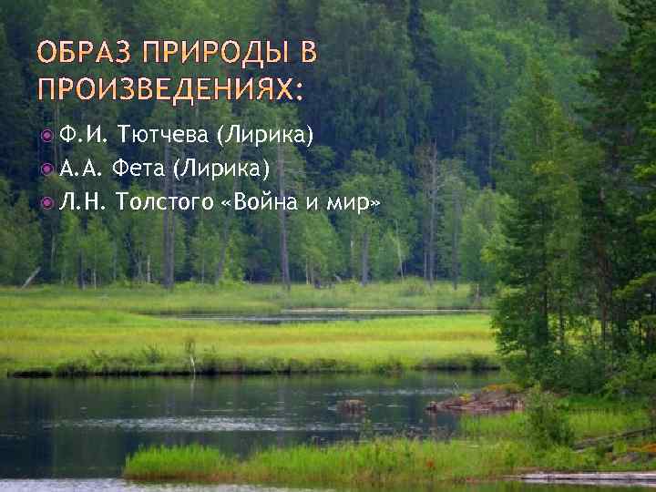  Ф. И. Тютчева (Лирика) А. А. Фета (Лирика) Л. Н. Толстого «Война и