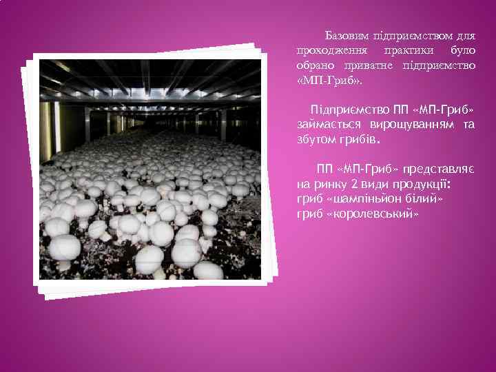 Базовим підприємством для проходження практики було обрано приватне підприємство «МП-Гриб» . Підприємство ПП «МП-Гриб»