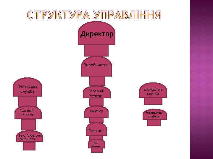 Директор Виробництво Фінансова служба Головний бухгалтер Головний інженер Інженер Технолог Зам. Головного бухгалтера Зав