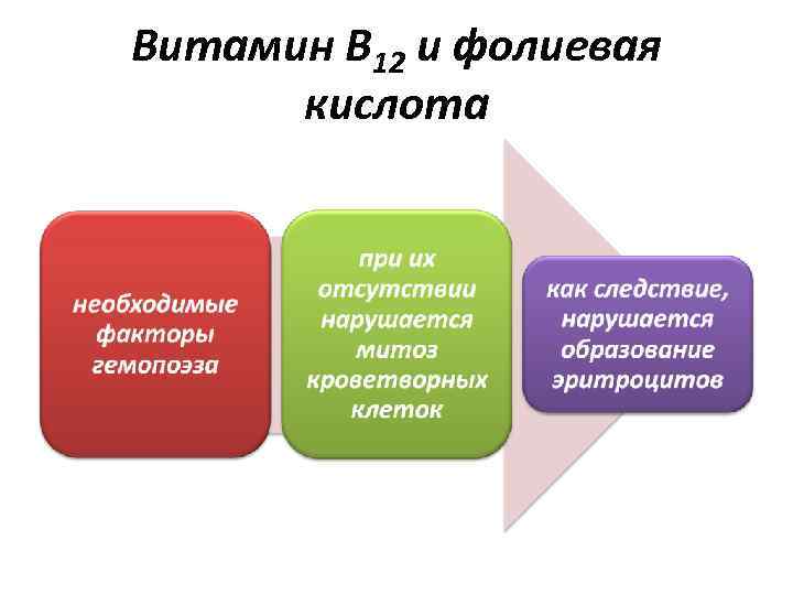 Витамин В 12 и фолиевая кислота 