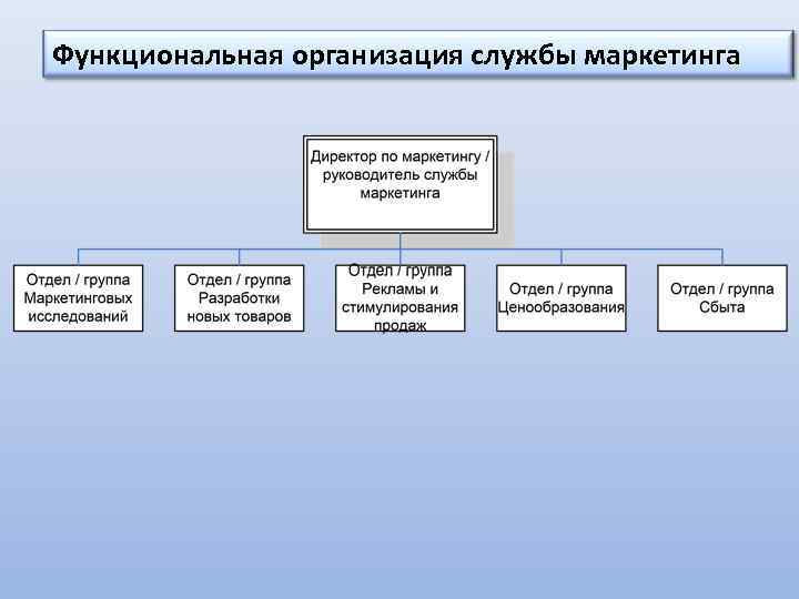 Функциональная организация службы маркетинга 