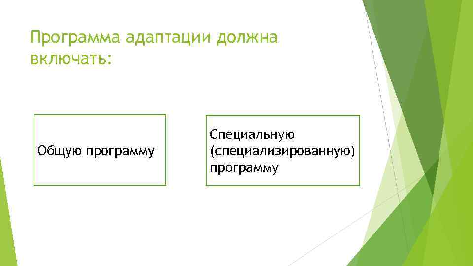 Программа адаптирована под. План адаптации.