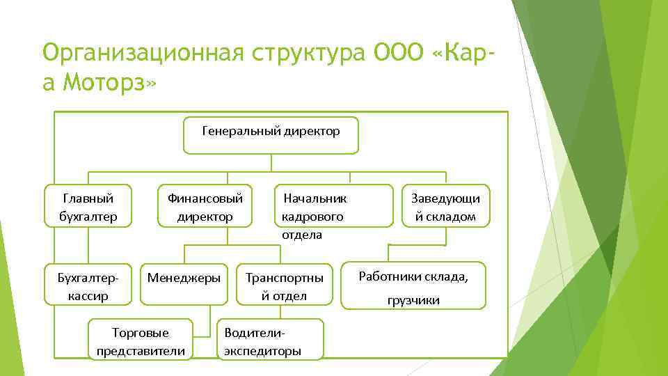 Главный бухгалтер склад. Генеральный директор структура. Организационная структура директор главный бухгалтер. Организационная структура ООО генеральный директор. Структура предприятия директор бухгалтер кассир.