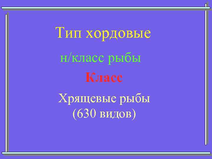 Тип хордовые н/класс рыбы Класс Хрящевые рыбы (630 видов) 