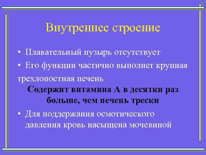 Внутреннее строение • Плавательный пузырь отсутствует • Его функции частично выполнет крупная трехлопостная печень
